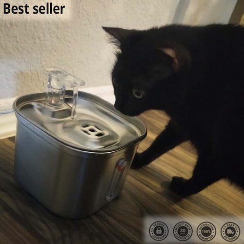 Cat Water Fountain