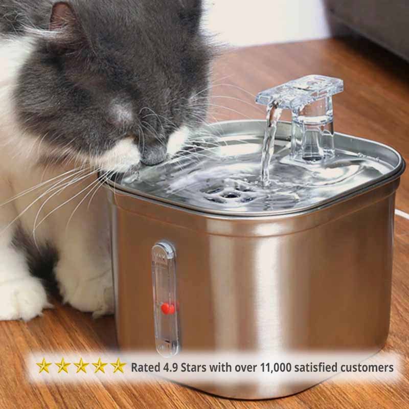 Cat Water Fountain