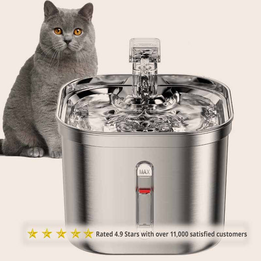 Cat Water Fountain